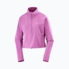 Hoodies und Pullover Salomon