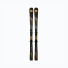 Skier