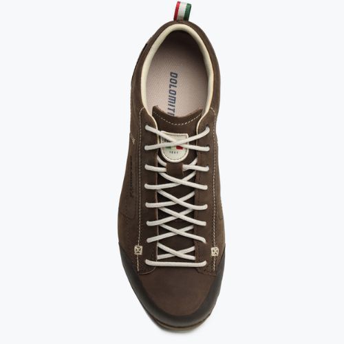 Herren-Trekkingschuhe Dolomite 54 Low Fg Gtx braun 247959 0300