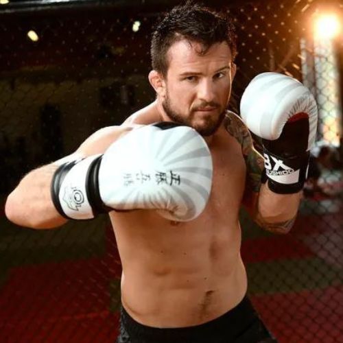 Bushido 'Japan' Sparring Boxhandschuhe weiß B-2v8-12oz