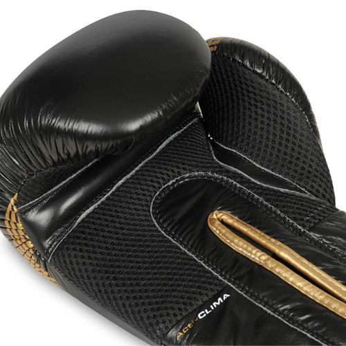 Bushido Naturleder Boxhandschuhe schwarz B-2v13-10oz