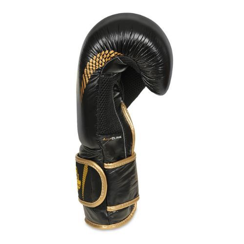 Bushido Naturleder Boxhandschuhe schwarz B-2v13-10oz