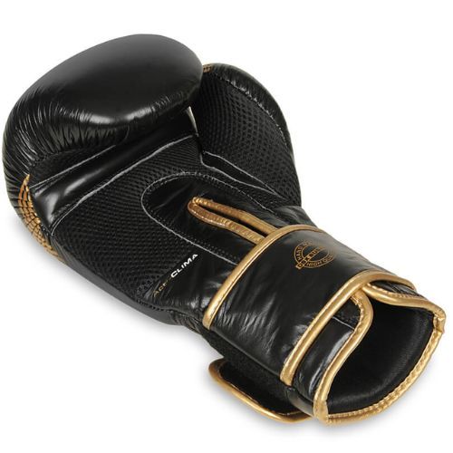 Bushido Naturleder Boxhandschuhe schwarz B-2v13-10oz