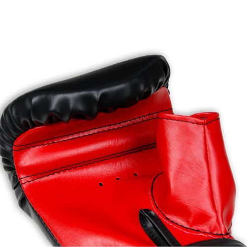 Bushido Instrument Boxhandschuhe Trainingstasche schwarz Rp4