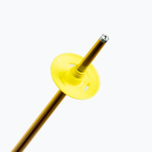 Skistöcke Salomon Arctic gelb L45592