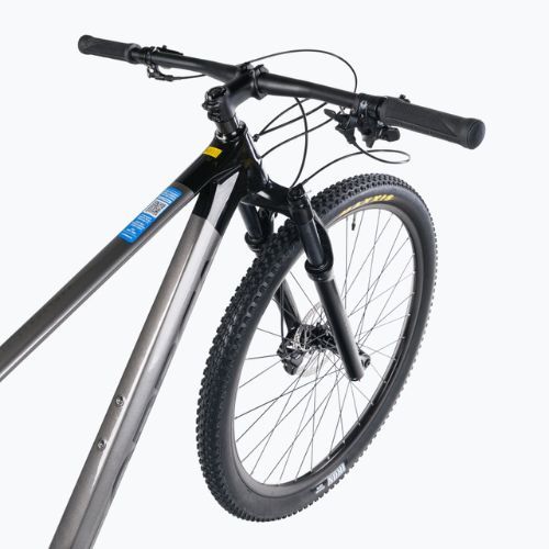 Orbea Alma M50-Eagle grau Mountainbike M22116L4