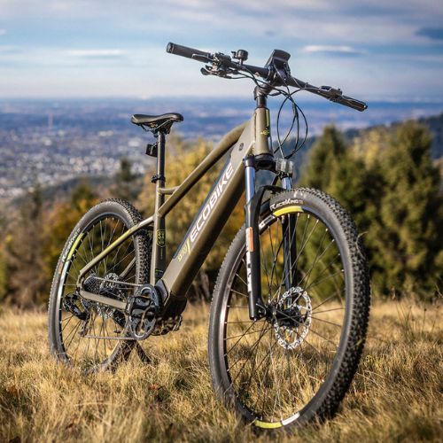 Ecobike SX300/X300 LG Elektrofahrrad 12.8Ah grün 1010404