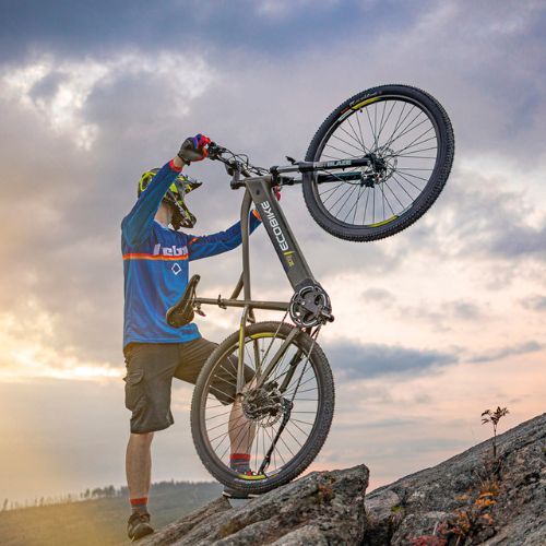 Ecobike SX300/X300 LG Elektrofahrrad 12.8Ah grün 1010404