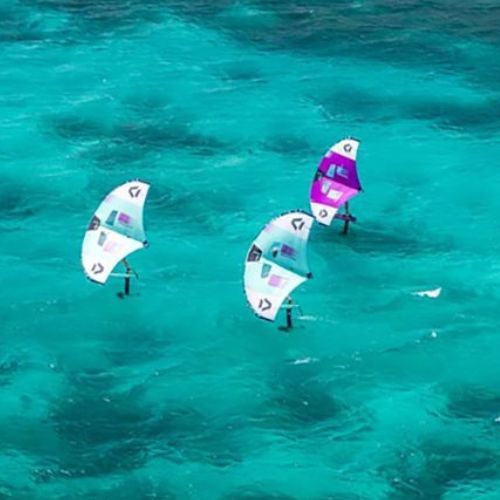 Flügelfolie DUOTONE-Folieneinheit grün 44220-3518