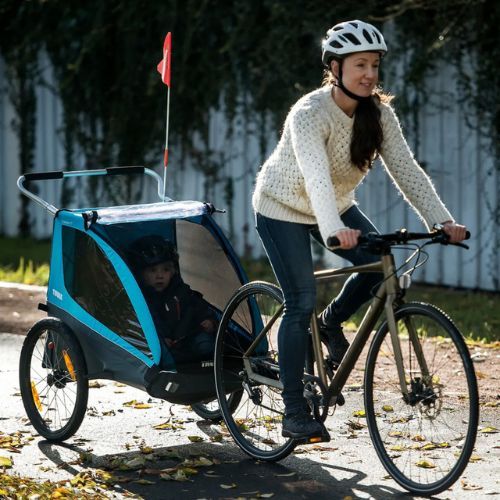 Thule Coaster XT Bike Trailer+Stroll Zwei-Personen-Fahrradanhänger schwarz 10101810