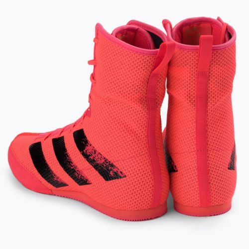 Boxen Schuhe adidas Box Hog 3 rosa FX1991