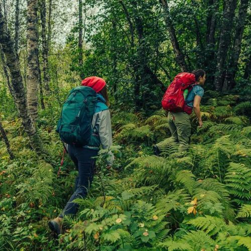 Gregory Amber 34 l grüner Trekking-Rucksack 126867