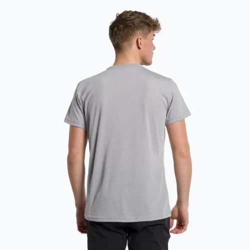 Herren Salewa Solidlogo Dry grau Trekkinghemd 00-0000027018