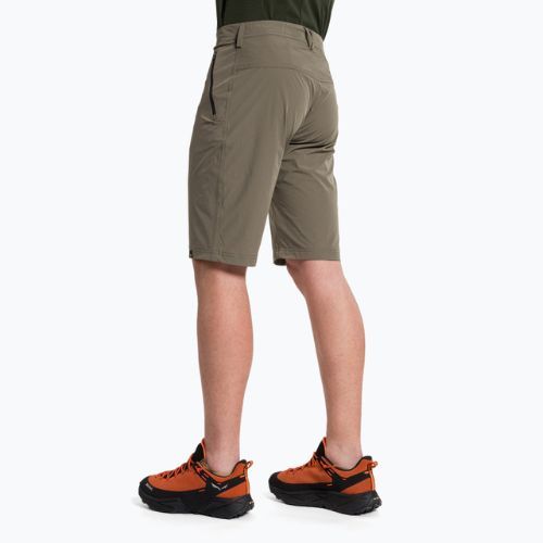 Salewa Herren Wandershorts Talveno DST braun 00-0000027064