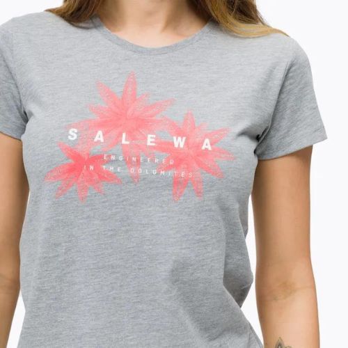 Damen-Trekking-T-Shirt Salewa Lines Graphic Dry grau 00-0000028064