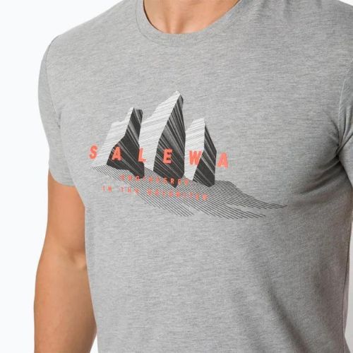 Salewa Lines Graphic Dry Herren-Trekkinghemd grau 00-0000028065