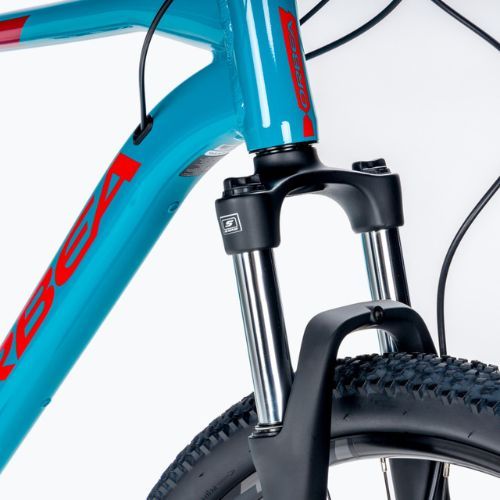 Orbea MX 29 50 Mountainbike blau