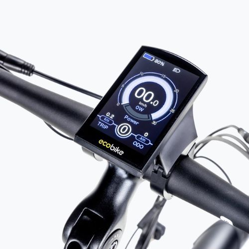 Ecobike MX300 LG Elektrofahrrad schwarz 1010307