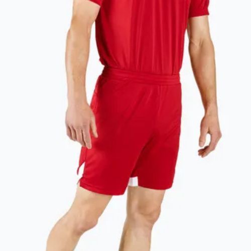 Herren Mizuno Premium Handball Trainingsshorts rot X2FB9A0262