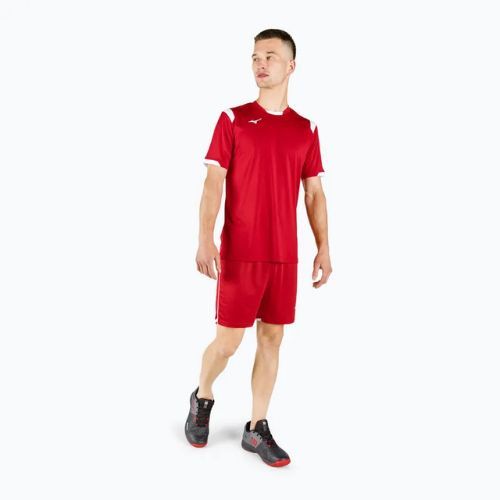 Herren Trainingsshirt Mizuno Premium Handball SS rot X2FA9A0262