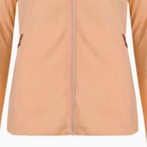 Damen Fleece-Sweatshirt Salomon Outrack Full Zip Mid apricot ice LC1713