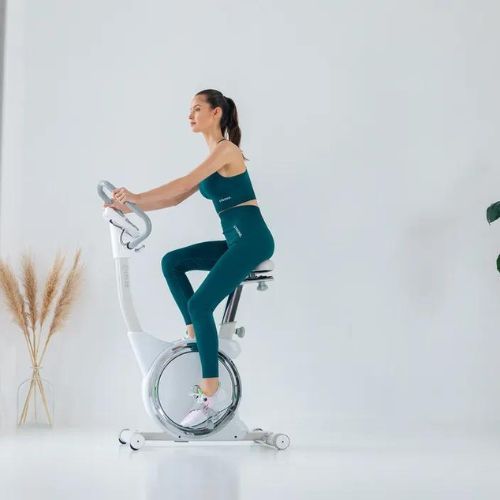 Heimtrainer TREXO weiß EB3