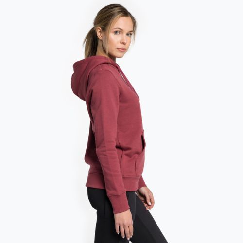 Damen-Trekking-Sweatshirt The North Face Drew Peak Pullover Hoodie wild ginger NF0A55EC6R41