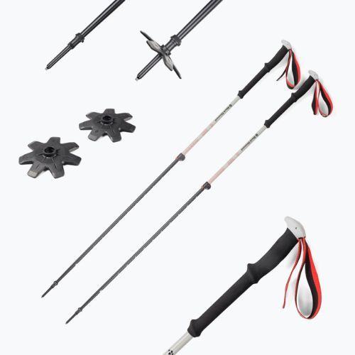 Black Diamond Expedition 2 Skit-Tourenstöcke schwarz BD11158900001451