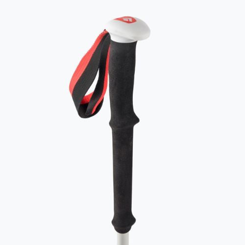 Black Diamond Expedition 2 Skit-Tourenstöcke schwarz BD11158900001451