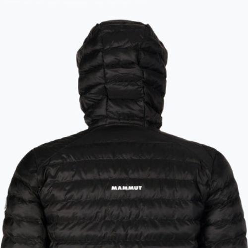 MAMMUT Herren Daunenjacke Albula IN schwarz