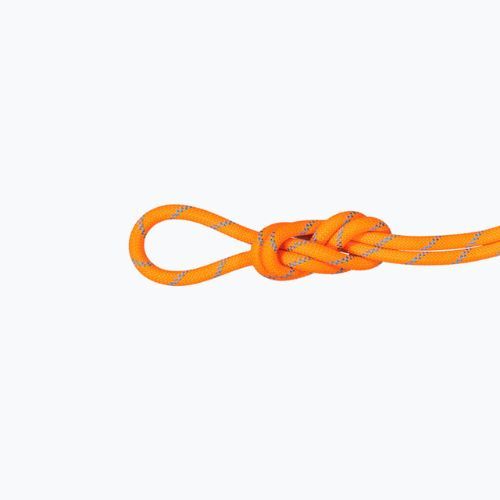 MAMMUT Kletterseil 8.7 Alpine Sender Dry orange 2010-04190-11285-1060