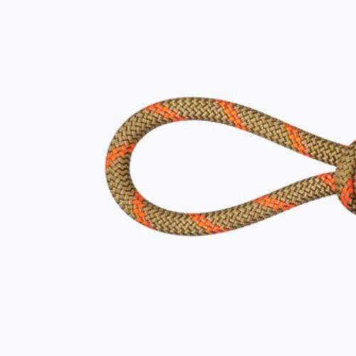MAMMUT Kletterseil 8.0 Alpine Dry orange 2010-04350-11240-1060