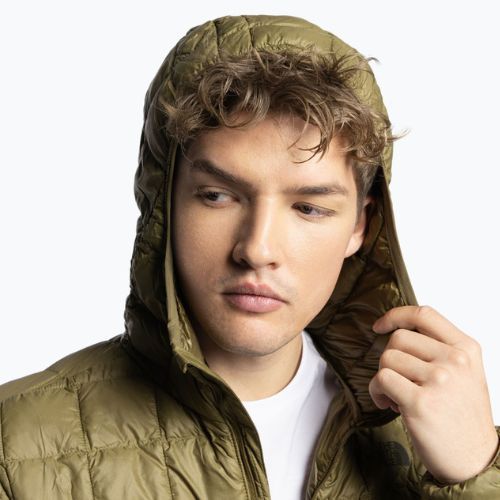 Herren Daunenjacke The North Face Thermoball Eco Hoodie 2.0 grün NF0A5GLK37U1
