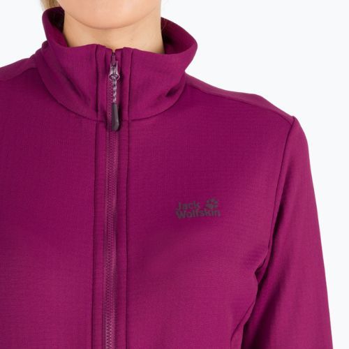 Jack Wolfskin Damen-Fleece-Sweatshirt Peak Grid Fleece lila 1710351