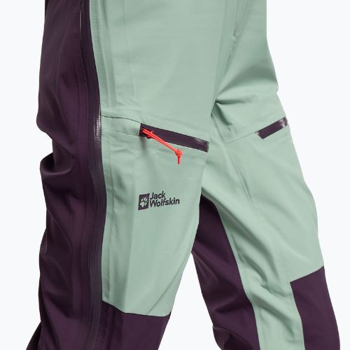 Jack Wolfskin Damen Alpspitze 3L Skihose grün 1115211