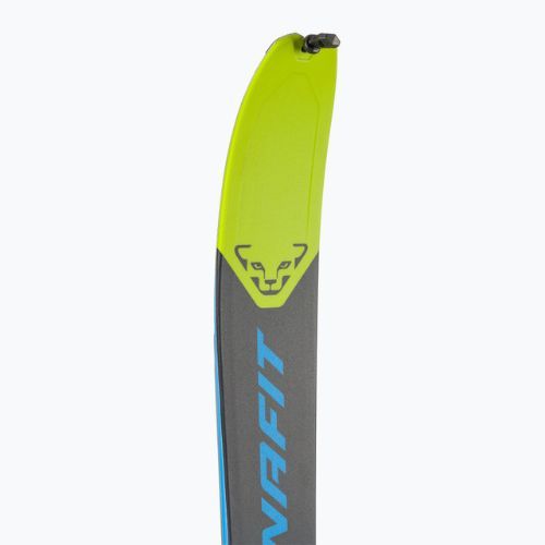 Men's DYNAFIT Seven Summits + Radical Long Travel Ski grün-blau 08-0000049163