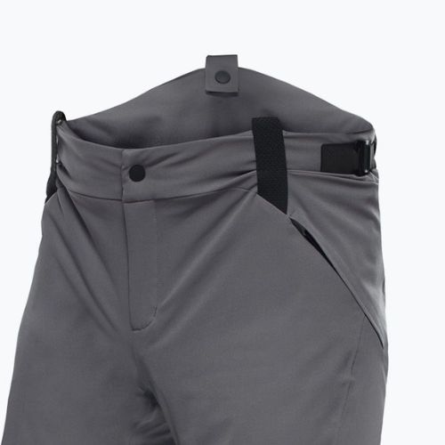 Skihose für Männer Dainese Hp Ridge castle rock