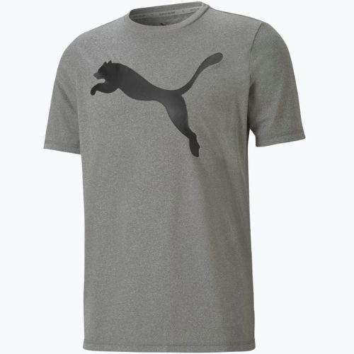 Herren Trainings-T-Shirt PUMA Active Big Logo Tee grau 586724_09