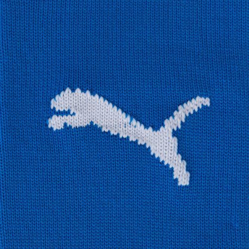 PUMA Team Liga Core Fußball Socken blau 70344102
