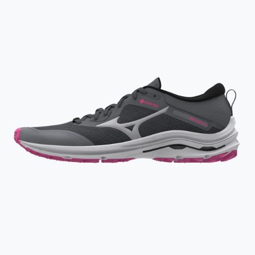 Damen Laufschuhe Mizuno Wave Rider GTX grau J1GD217922