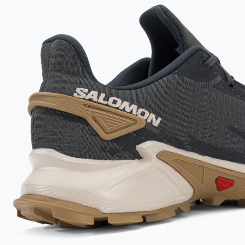 Salomon Alphacross 4 grau Herren Trail Schuhe L41724100