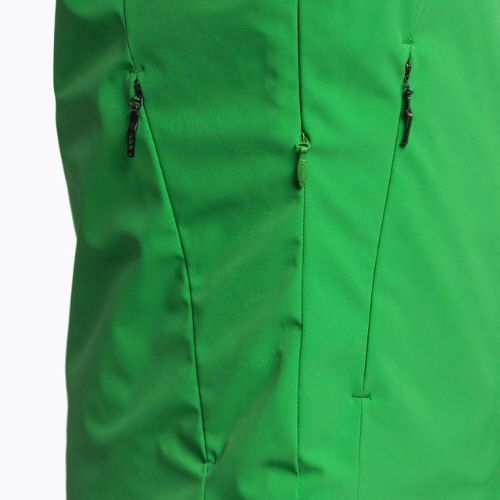 Skijacke Herren Descente Carter 19 grün DWMUGK23