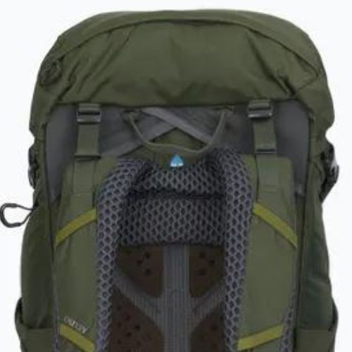 Herren-Trekking-Rucksack Osprey Kestrel 38 l grün 10004769