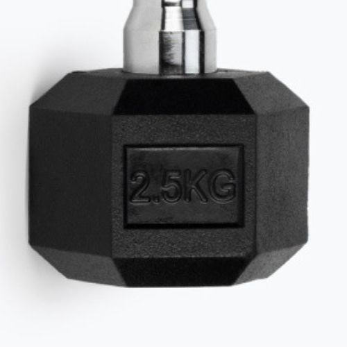 Kurzhanteln TREXO Hex HXD25 2.5 kg
