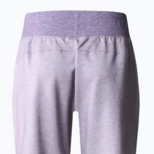 Damen-Trekkinghose The North Face Juniper Basin Jogger lila NF0A7WSQN581