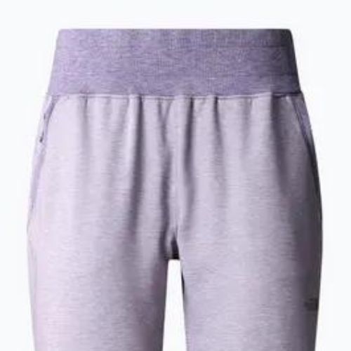 Damen-Trekkinghose The North Face Juniper Basin Jogger lila NF0A7WSQN581