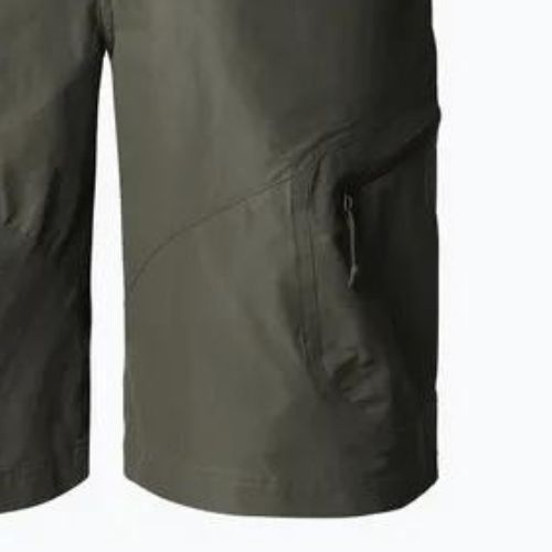 Herren The North Face Exploration grün Trekking-Shorts NF0A824421L1