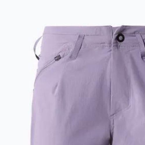 Damen-Trekking-Shorts The North Face Speedlight Slim Straight lila NF0A826CN141