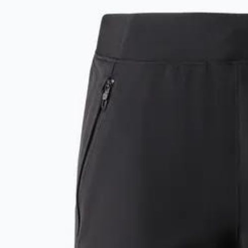 Damen-Trekking-Shorts The North Face Stolemberg Alpine Slim Straight schwarz/grau NF0A825IKT01