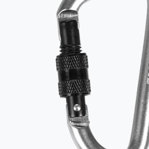 Salewa D-Shape Carbiner mit Schraube silber 00-0000034102